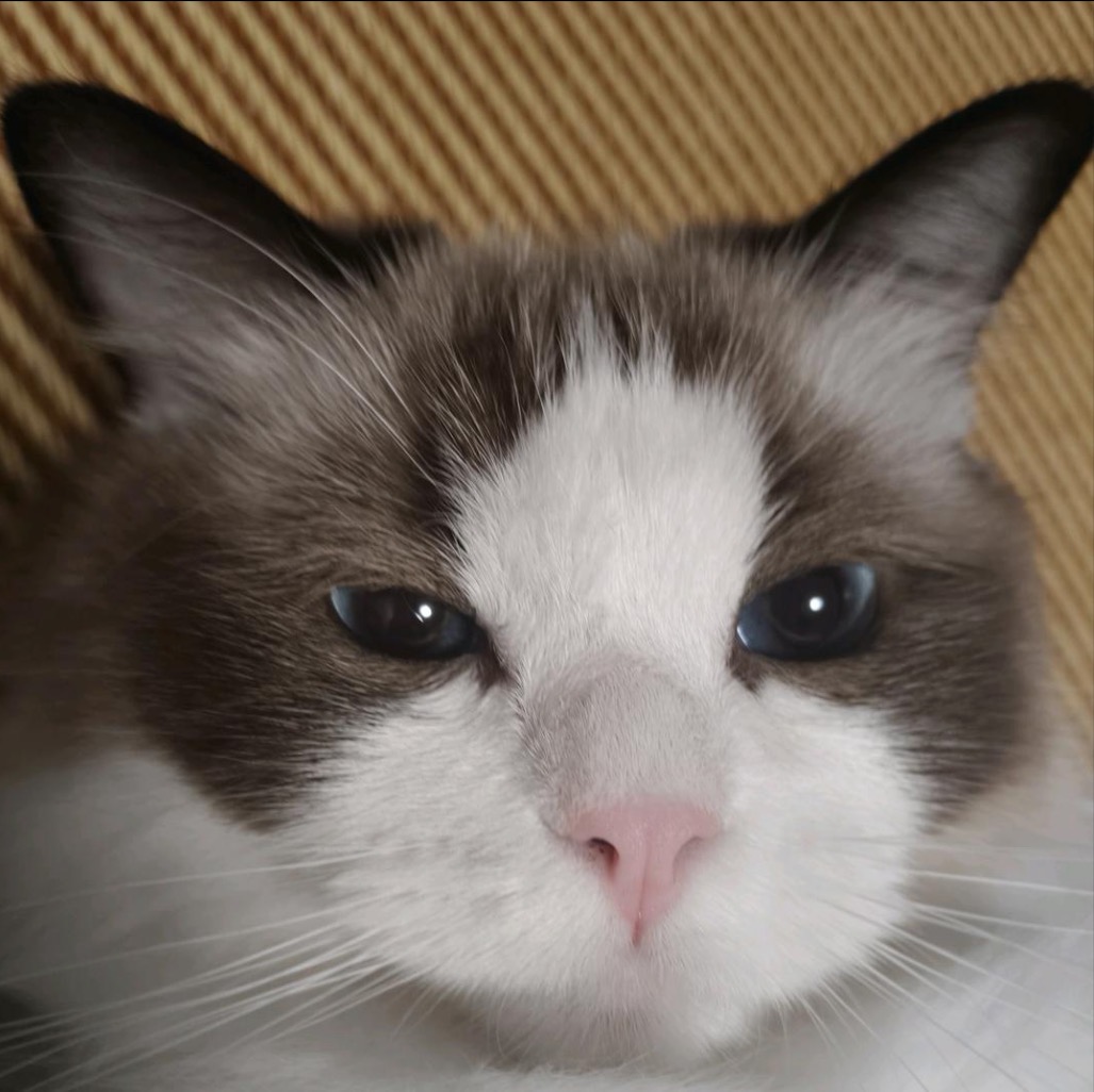 第一步教程